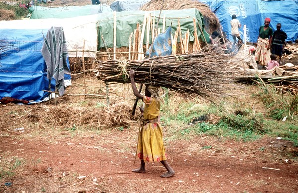 Female refugee carrying a bundle of twigs