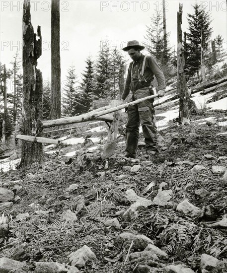Worker-forest Service