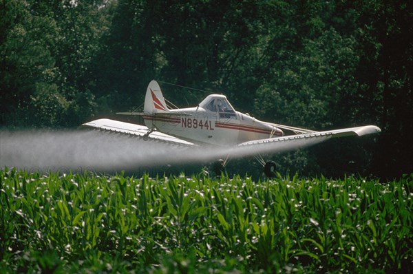 Crop dusting plane spraying a field of corn