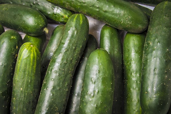 Close up of vegetables