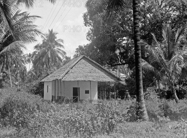 House near Zanzibar in a grove of clove trees and palms ca. 1936