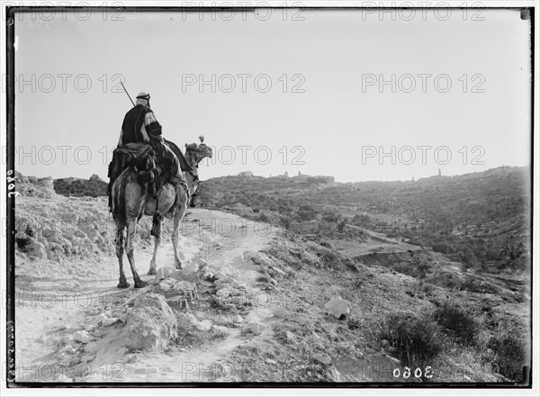 Man riding a camel on the road to Bethlehem as he approaches the city at twilight ca. 1920