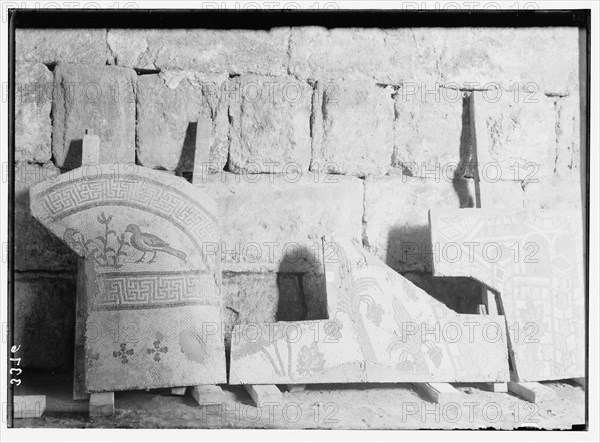 Ruins of Jerash (Gerasa), a Jerash mosaic, section showing fruiting palm trees and birds. ca. 1920