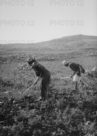 Man and woman plowing land by hand in Israel ca. 1900