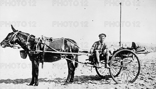 German horse drawn ambulance ca.  between 1910 and 1935