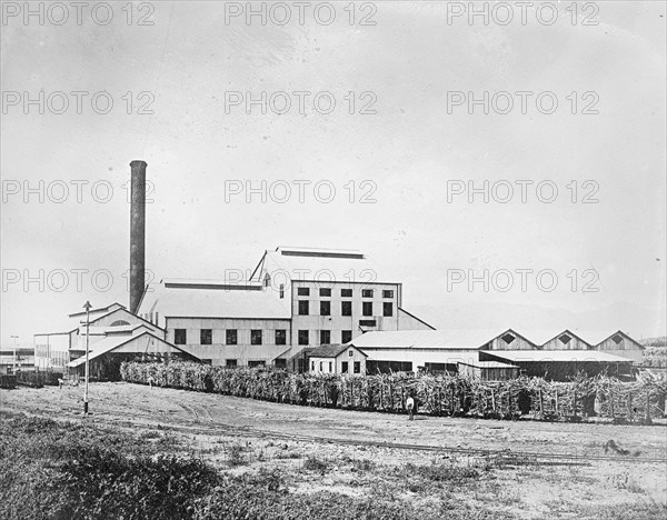 Experimental Station, Hawaiian Sugar Planters Association ca.  between 1910 and 1920