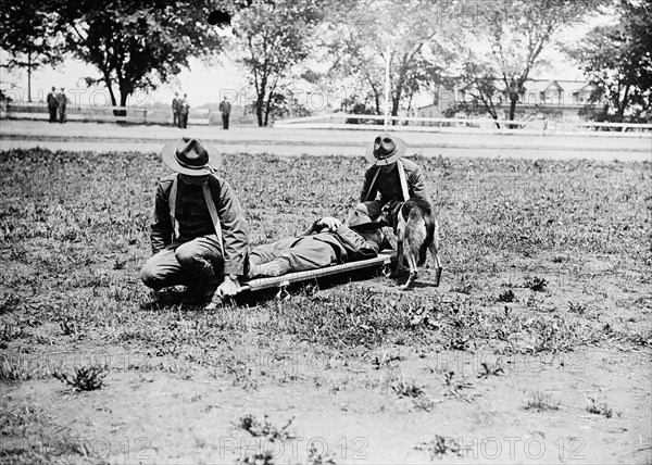 American Red Cross, Allentown camp; Red Cross dogs & stretcher bearers ca.  between 1910 and 1935