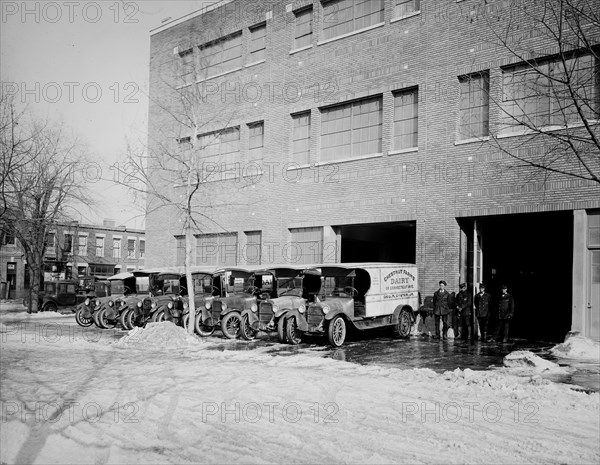 Parked Chestnut Farm Dairy trucks ca. between 1910 and 1925