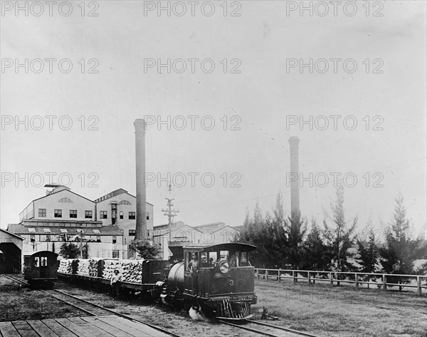 Trainload of sugar leaving mill. Hawaiian Islands ca.  between 1910 and 1920