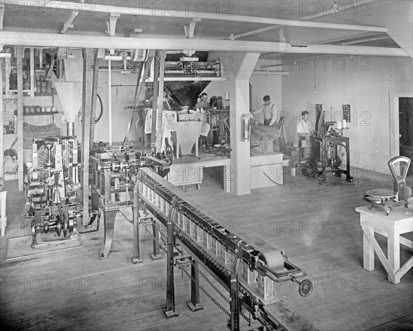 Carton Machine. Also showing filling and sewing 25 lb. sacks in background of picture, C&H Sugar Factory ca.  between 1910 and 1920