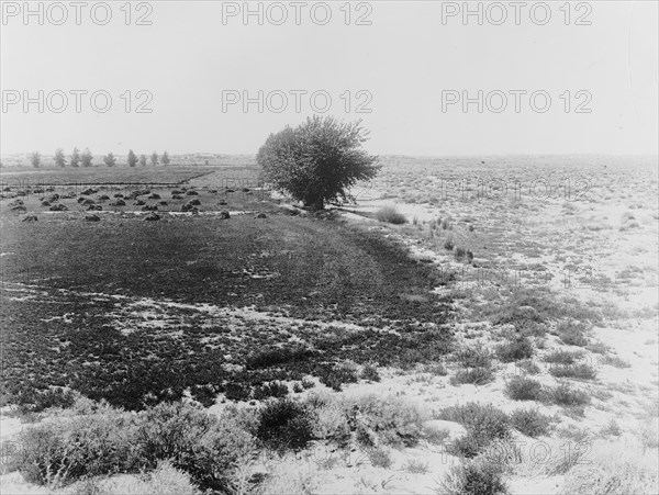 Nevada on left, old homestead; unreclaimed desert on the right ca.  between 1910 and 1935