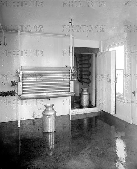 Chestnut Farms Dairy interior, [Washington, D.C.] ca.  between 1910 and 1926