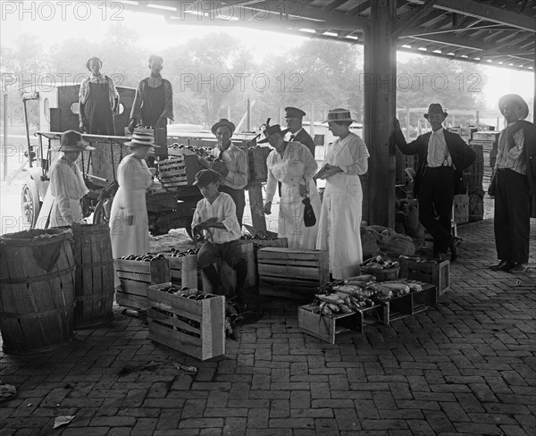 Customers at a market browsing through fruit and vegetables, Washington D.C., World War I period. ca.  between 1910 and 1920