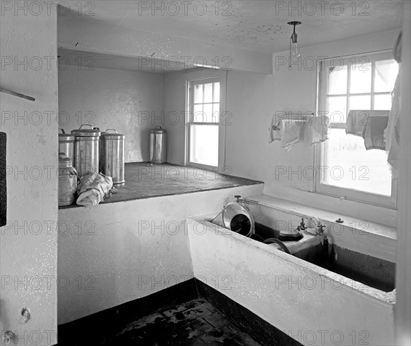 Chestnut Farms Dairy interior, [Washington, D.C.] ca.  between 1910 and 1926