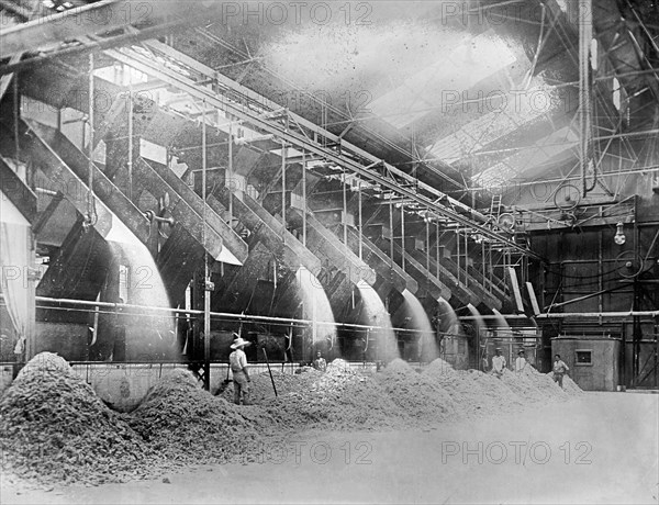 Delivering Bagasse to fire-room. Workers inside a raw sugar mill. Hawaiian Islands ca. between 1910 and 1920