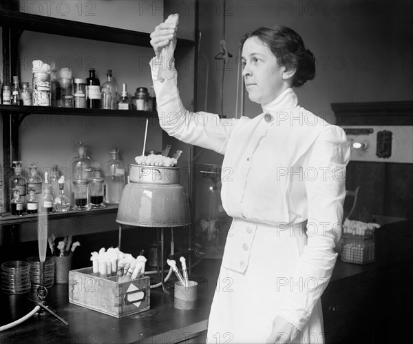 Alice Evans in Dairy Division, Department of Agriculture who studes microscopic organisms and their relation to health, flavor and keeping qualities of dairy products ca. between 1913 and 1918