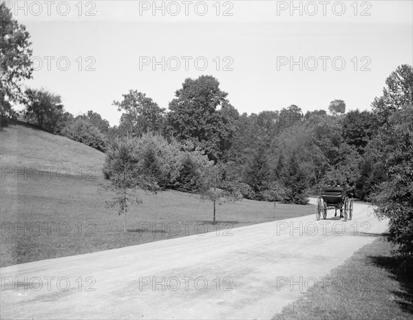 Carraige traversing through National Zoo Park ca. between 1909 and 1923