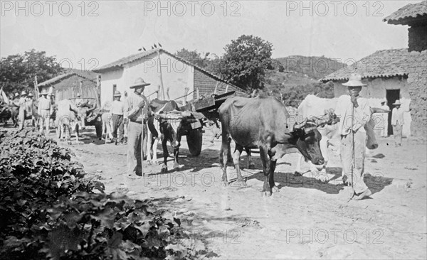Men working in rural Honduras ca. between 1909 and 1919