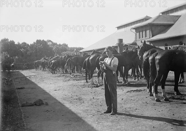 U.S. Army corral, a soldier of the 15th Cavalry ca. between 1909 and 1940