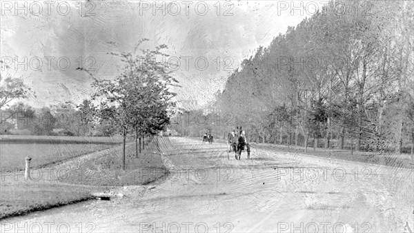 Horses on speedway, Washington, D.C. ca. between 1909 and 1923