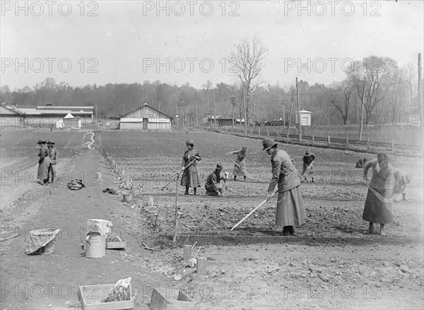 National Women's Defense League Camp. Women working in the War Gardens ca. between 1909 and 1940