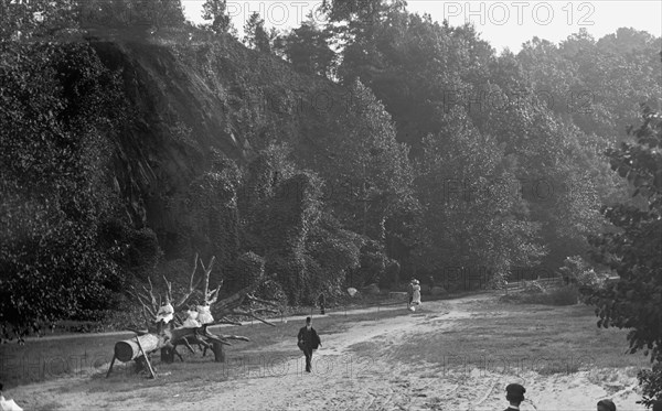 National Zoo Park, Washington, D.C. ca. between 1909 and 1923