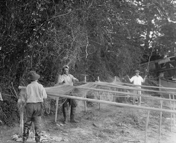 Men working with their nets for shad fishing on the Potomac ca. between 1909 and 1932
