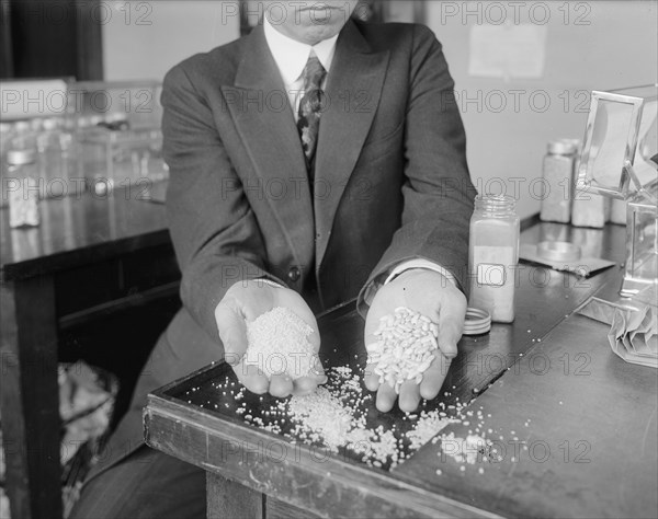 Rice experiment, Department of Agriculture ca.  between 1918 and 1928