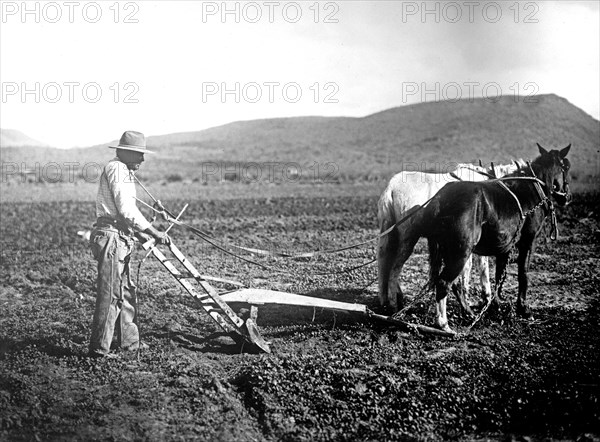 Salt River Project, [Arizona] Sacator Indian Reservation, farmer plowing a field ca.  between 1918 and 1928