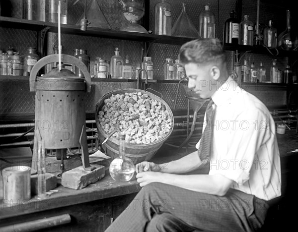 Man working at the Agriculture Department ca.  between 1918 and 1928