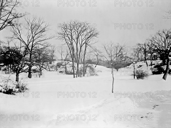 First snow of the season in Central Park, New York City ca. 1909