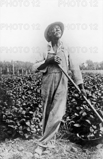 Full-length portrait of man, standing in field, with hoe(?), looking upward ca. 1909