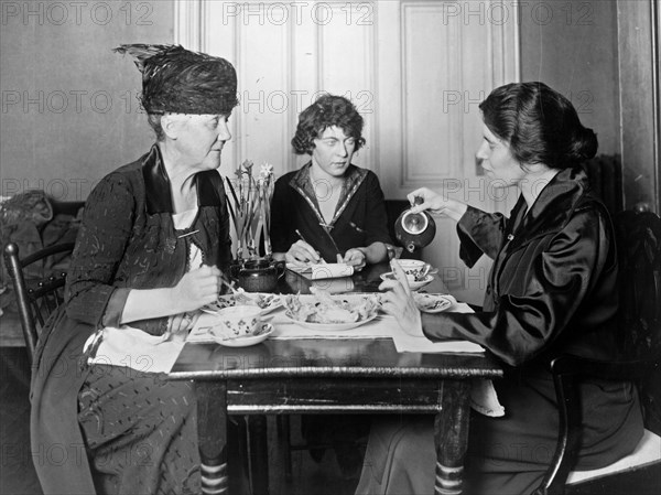 Alice Paul and Mrs. Lawrence Lewis holding a conference, Pauline Floyd, sec., at 14 Jackson Place ca. 1909