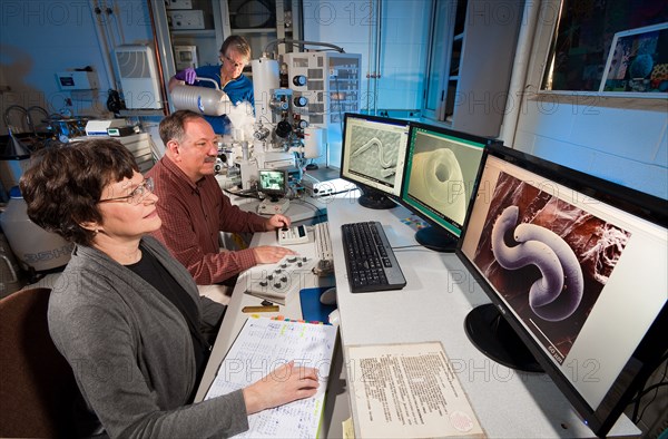 Workers use a low temperature scanning electron microscope (LT-SEM) to view anatomical structures needed to identify nematodes like the Parasitorhabditis nematode associated with pine trees and bark beetles on April 19, 2012.