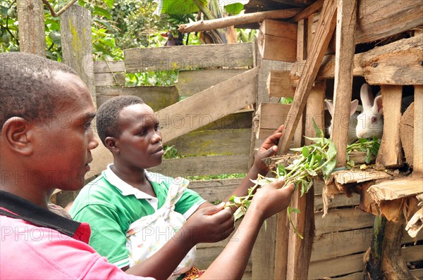 Evas and her husband, Africano, feed their rabbits weeds from their garden. They have a Model Home in their community, and Evas is a group promoter for the Family Life School group in the Bulambira community, Ikumba sub-county Uganda ca. 14 March 2018