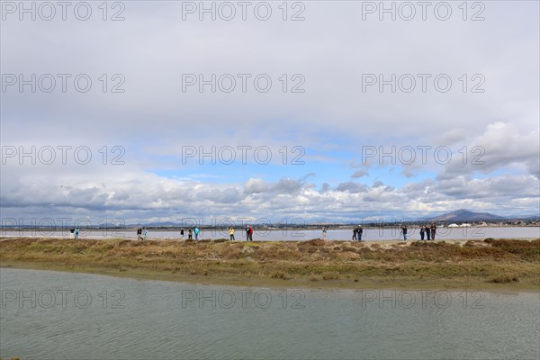 San Diego Bird Festival 2018 at San Diego National Wildlife Refuge ca. 22 February 2018