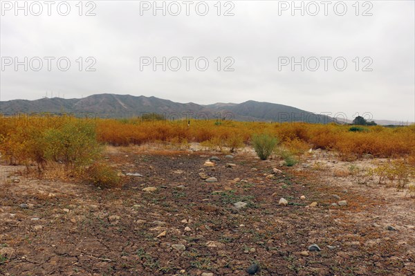 Vernal pool in the dry season at Camp Pendleton -- This vernal pool site is currently being restored by The Marine Corps.  ca. 7 June 2017