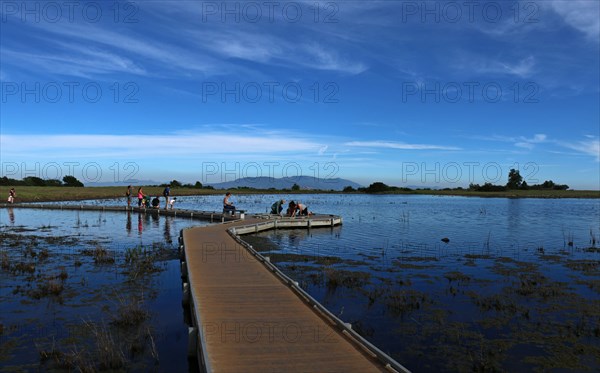 Vernal Pool at Santa Rosa Plateau ca. 18 March 2017