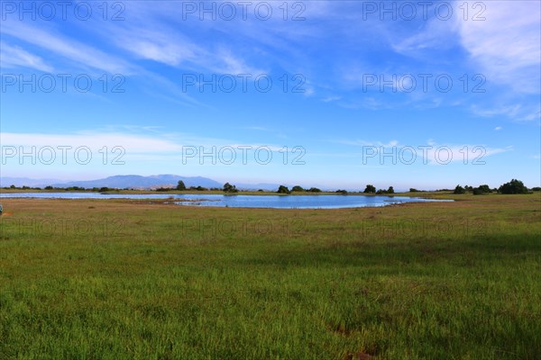 Vernal Pool at Santa Rosa Plateau