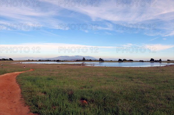 Vernal Pool at Santa Rosa Plateau ca. 18 March 2017