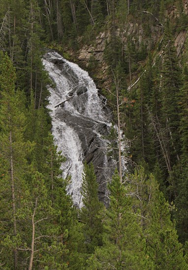 Virginia Cascade in Yellowstone National Park; Date: 27 August 2013