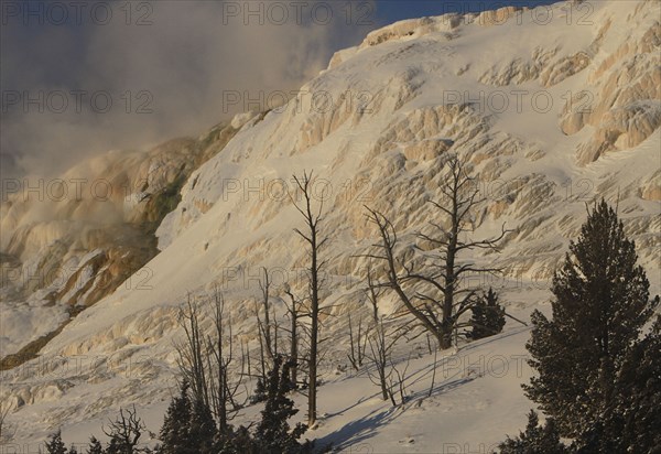 Main Terrace at Mammoth Hot Springs in Yellowstone National Park; Date: 5 December 2013