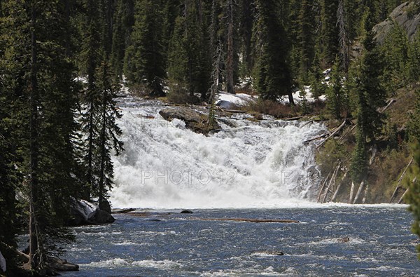 Lewis Falls in Yellowstone National Park; Date: 3 June 2014