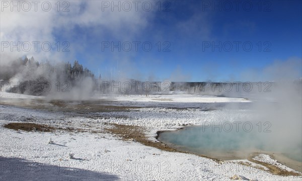 Norris Geyser Basin in late November in Yellowstone National Park; Date: 22 November 2013