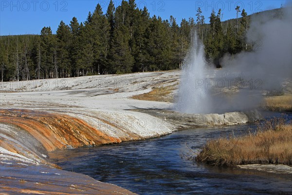 Cliff Geyser in Black Sand Geyser Basin in Yellowstone National Park  Date: 24 October 2013