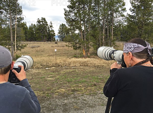 Looking at the back of two men holding cameras with long lenses pointed at a grizzly bear in the distant grassy meadow. Photographing a grizzly bear near Fishing Bridge at a safe distance in Yellowstone National Park; Date: 5 May 2015