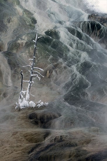 Palette Spring at Mammoth Hot Springs in Yellowstone National Park; Date: 29 December 2014