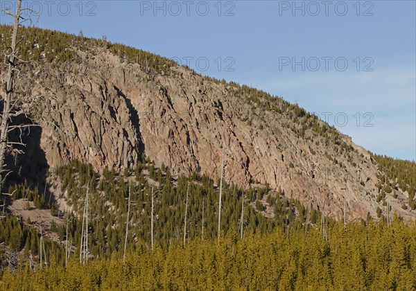 Lava Creek tuff above the Gibbon River near the approximate caldera boundary in Yellowstone National Park; Date: 20 March 2015