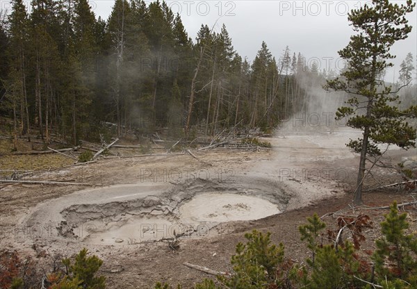 Mudpots in Mud Volcano area in Yellowstone National Park;  Date: 4 November 2014
