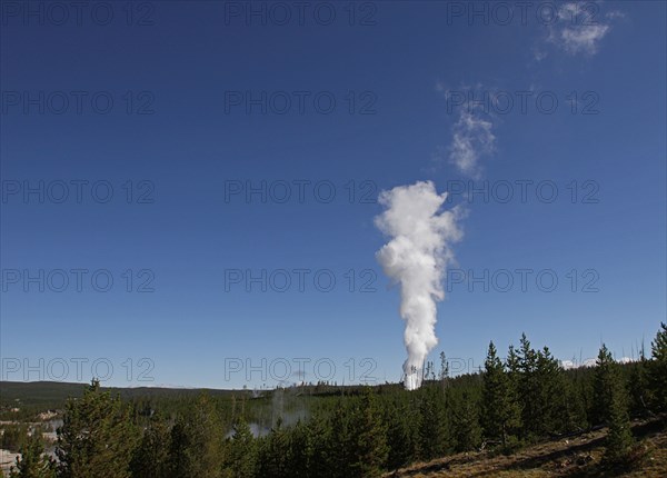 Steam phase of Steamboat Geyser, Norris Geyser Basin in Yellowstone National Park; Date: 4 September 2014